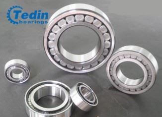 SL18 series full complement cylindrical roller bearings 2